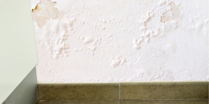 Como Detectar Vazamento de Água Dentro da Parede em São Carlos: Confira 5 Dicas vazamaneto de água dentro da parede